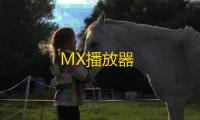 MX播放器